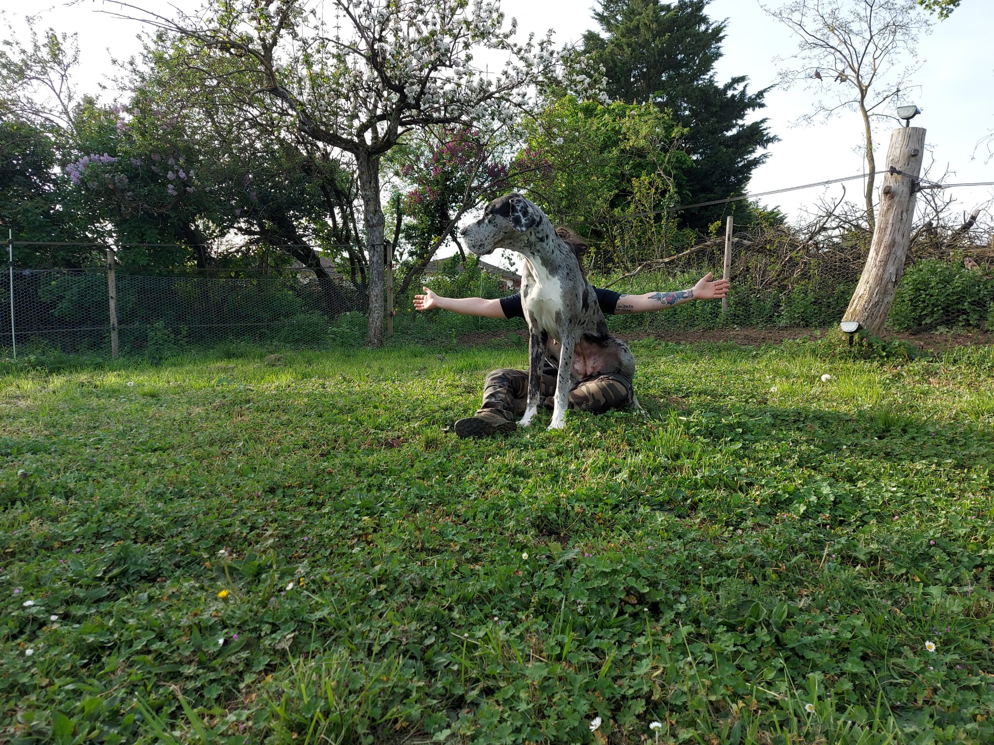 IMG-20240415-WA0007